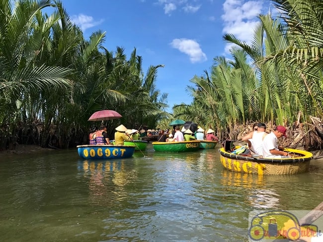 Hoi An coconut forest