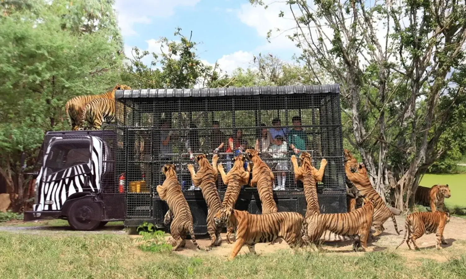 Safari Park Thái Lan