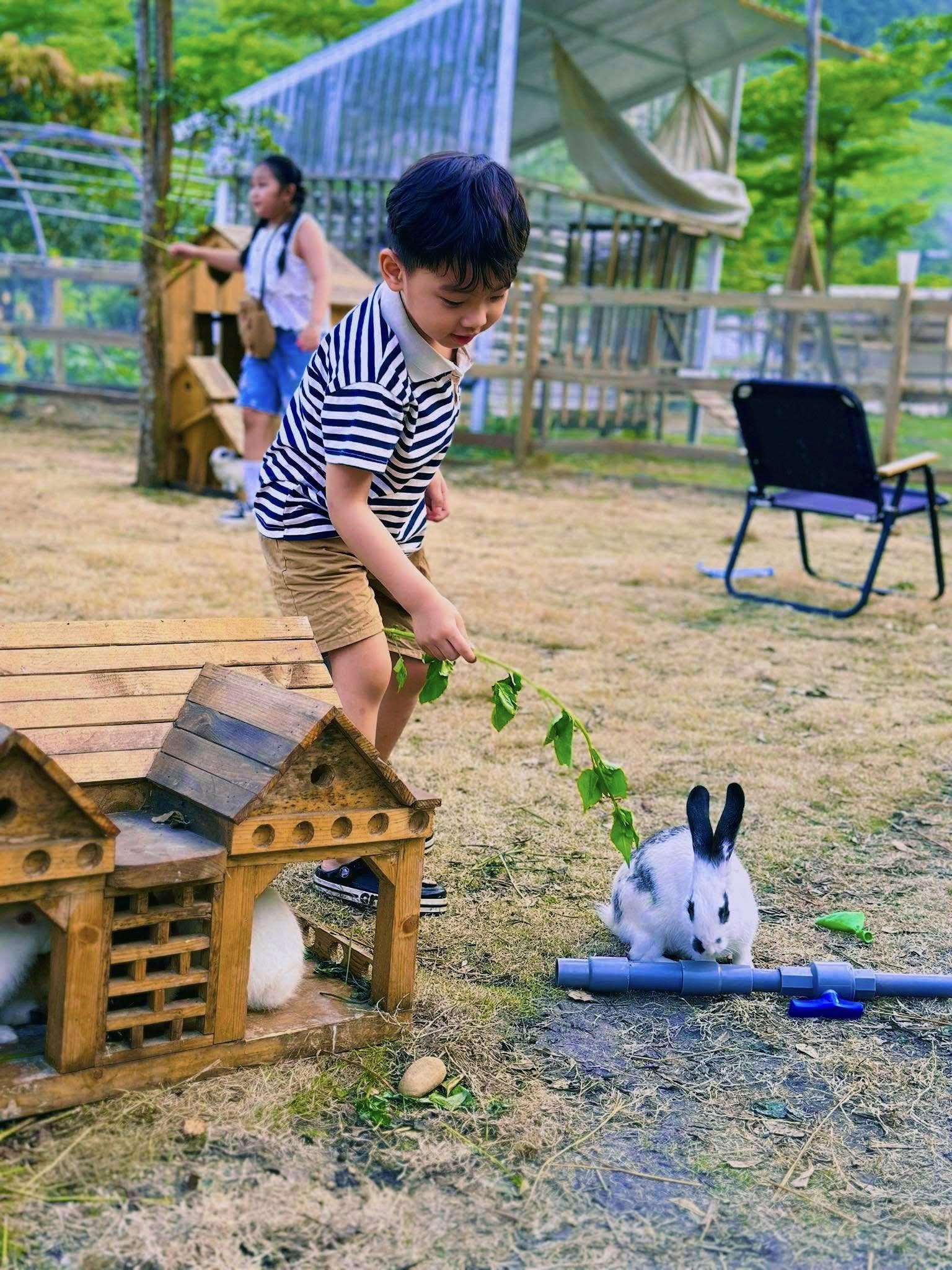 Tham quan vườn rau hữu cơ