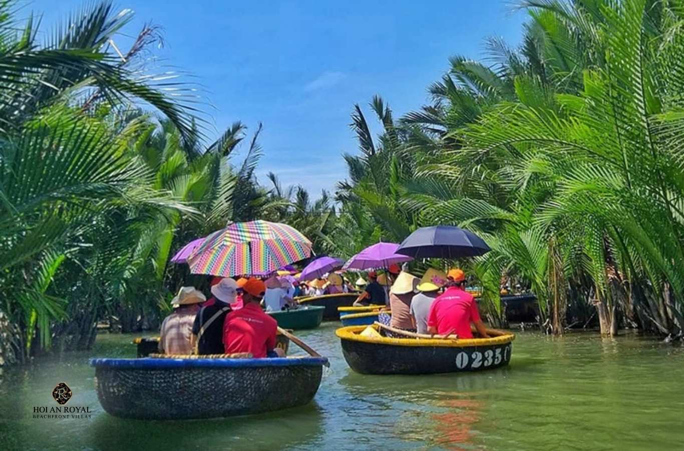 Rừng Dừa Bảy Mẫu