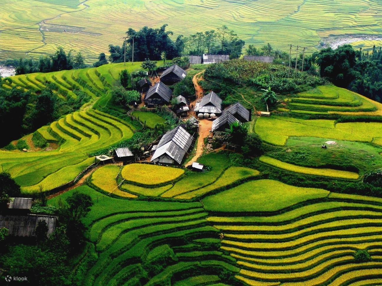 SAPA