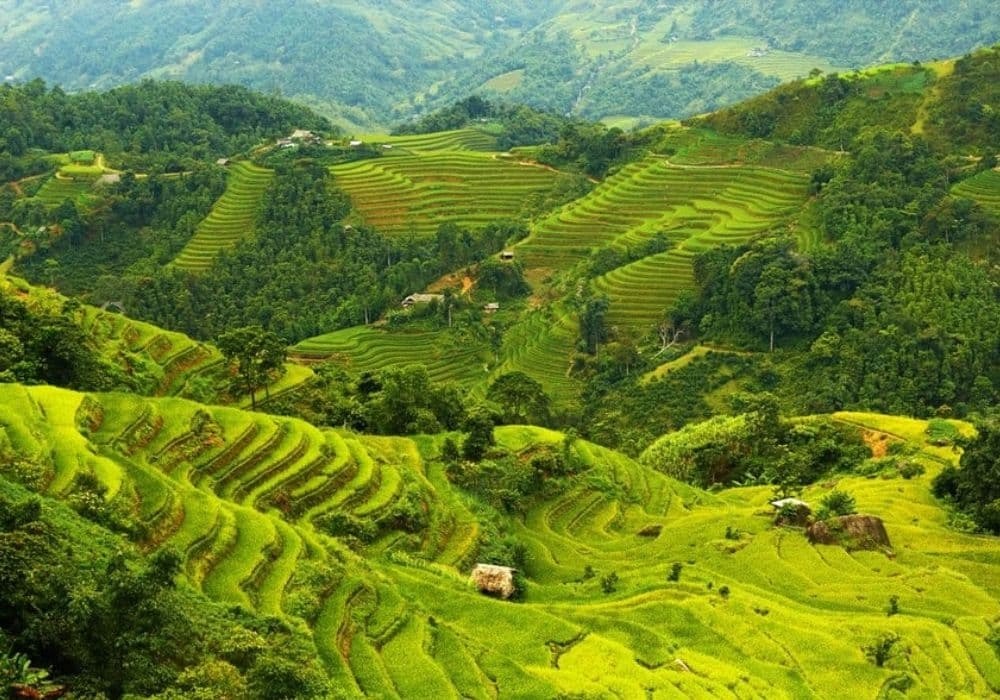SƠN LA 