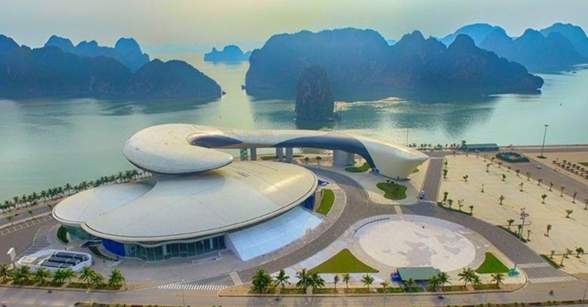 Cung cá heo Hạ Long