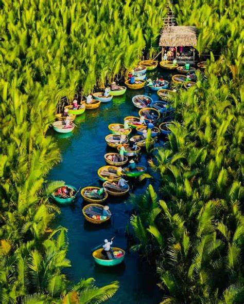 Hoi An coconut forest