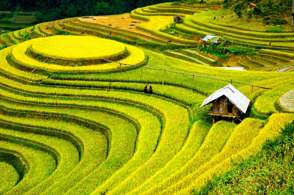 Đồi Mâm Xôi