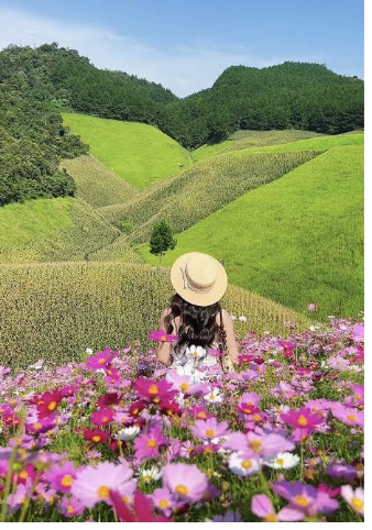 Vườn hoa Happy Land