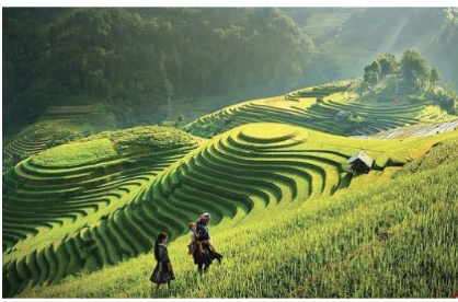 Ruộng bậc thang