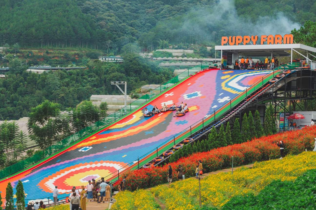 Nông trại cún Puppy Farm