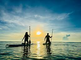 Experience paddleboarding (SUP).