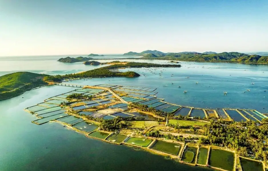 Đầm Ô Loan 