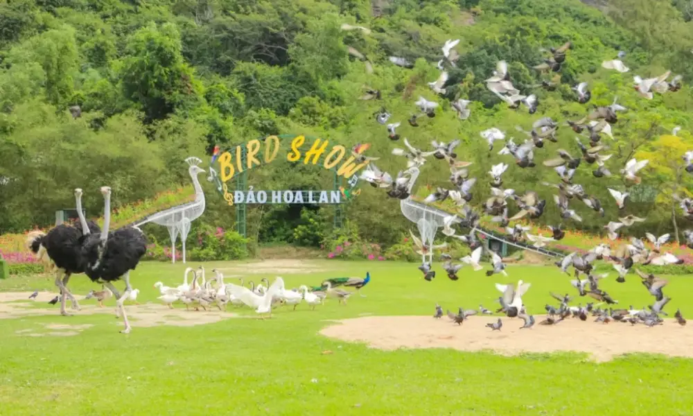 Đảo Hoa Lan Nha Trang