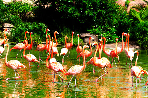 Vườn Quý Vương