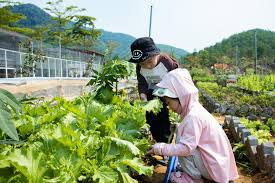 Ăn trưa tại nhà hàng Lang Biang