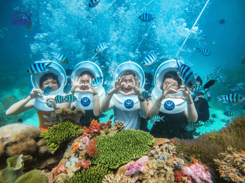 Lặn ngắm san hô Cù Lao Chàm