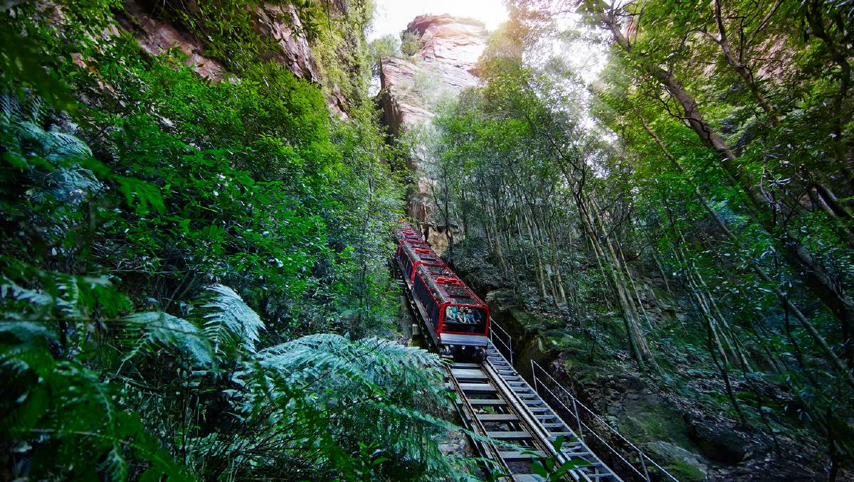 Blue Mountain & Scenic World