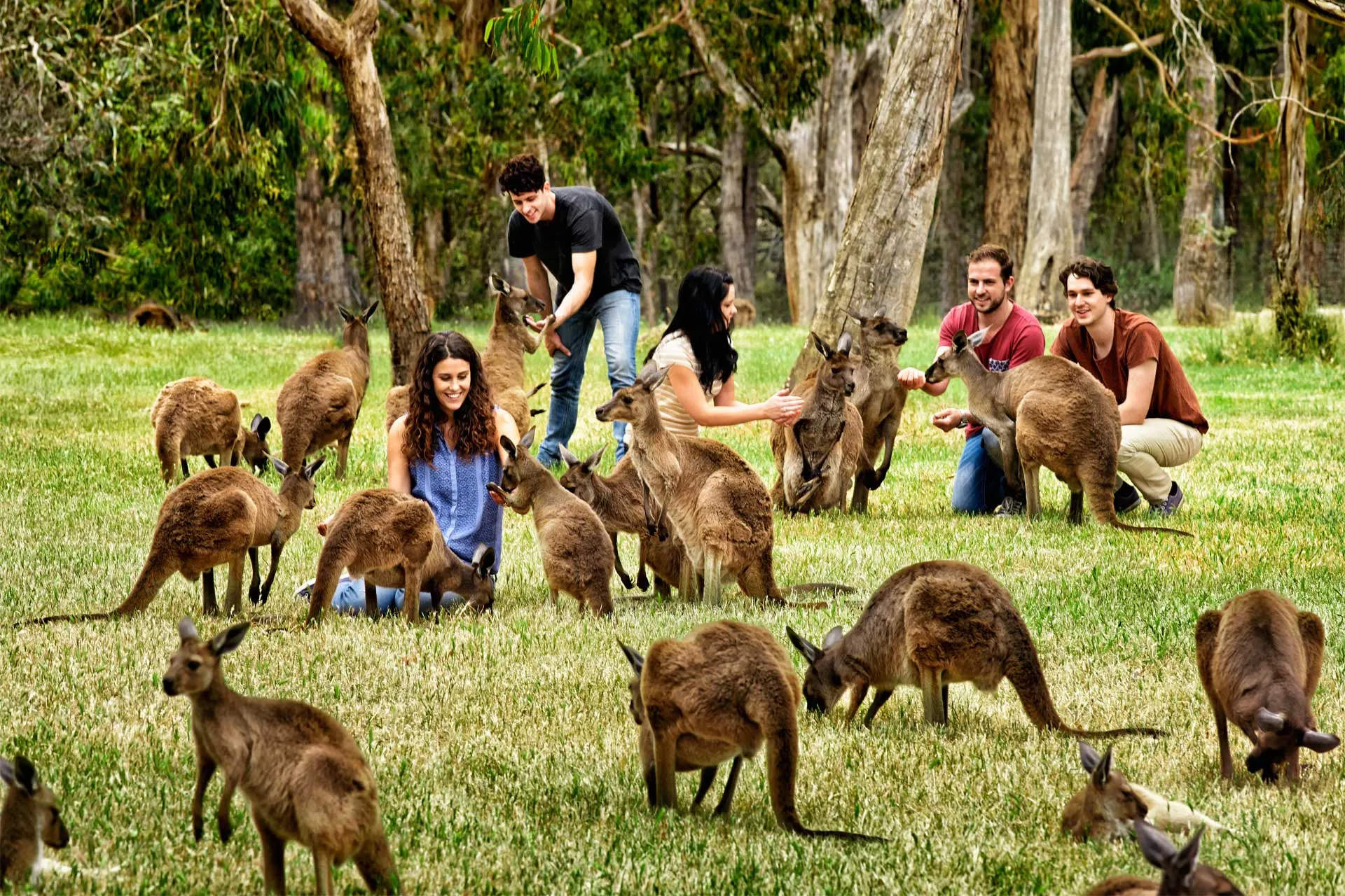 Wildlife Park
