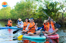 Trải nghiệm khám phá rừng cây ngập mặn