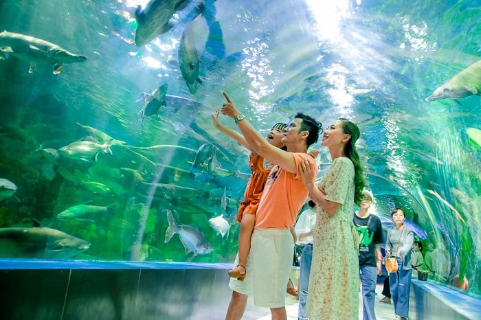 Viện hải dương học 