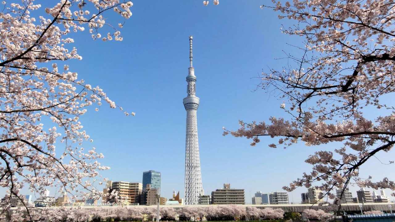 Tháp Tokyo Skytree