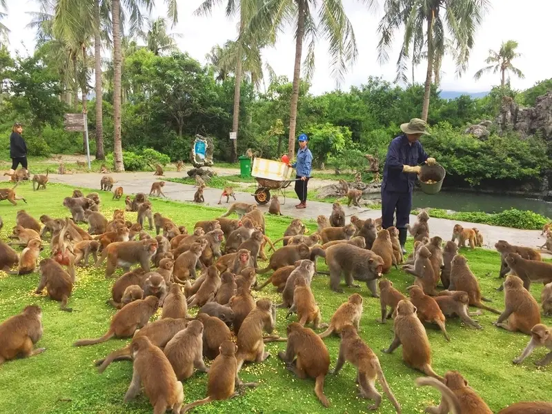 Đảo khỉ Nha Trang
